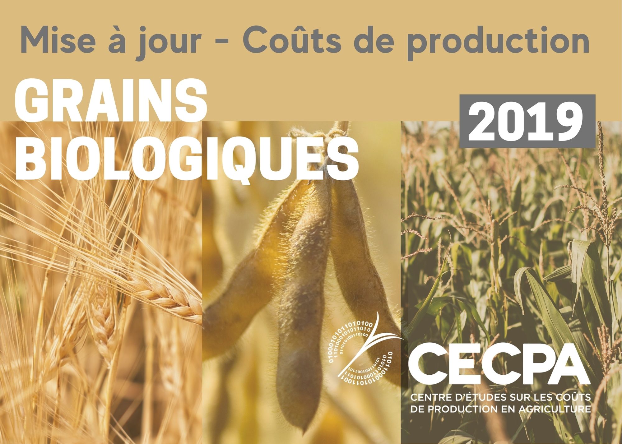 Informations complémentaires : Mise à jour des coûts de production - Grains biologiques 2019